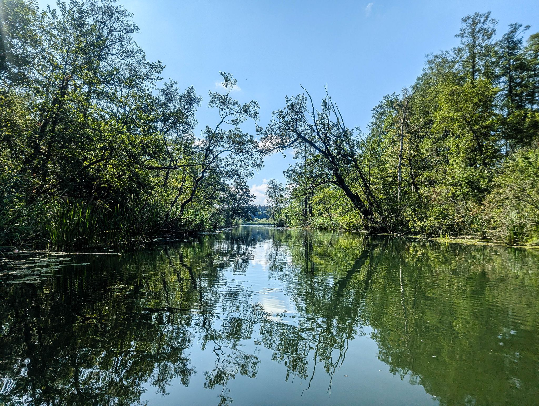 Kajaktour Leutstettner Moos 15.08.2024